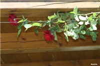 68dd42df-IMG_7145 Don Juan.jpg